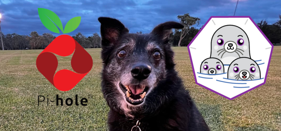 Indy likes Podman containers